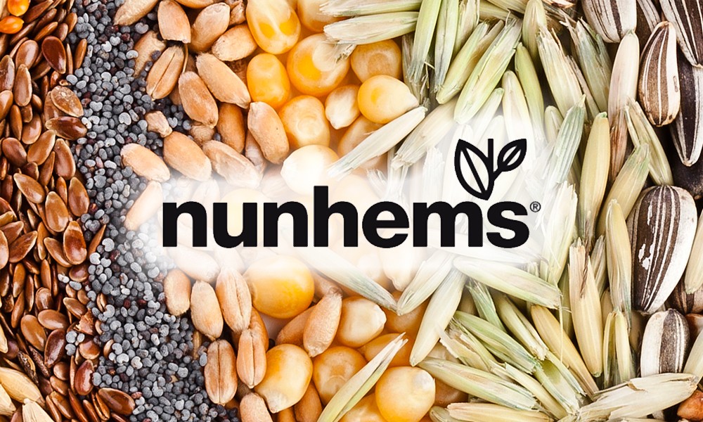 Bayer выставил на продажу Nunhems