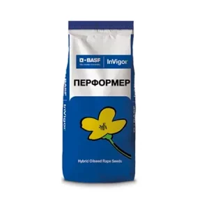 Рапс яровой ПЕРФОРМЕР