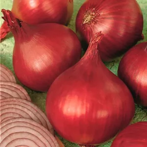 Лук репчатый РЕД БАРОН