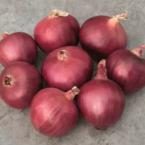 Лук репчатый РЕД БУЛЛ