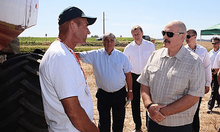 Президент порекомендовал аграриям использовать белорусские семена