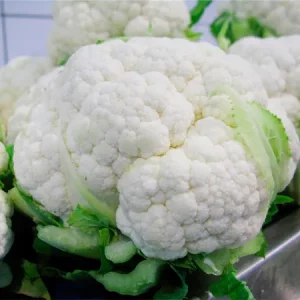 Капуста цветная ШАРЛОТ