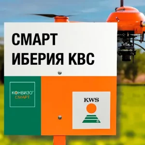 Свекла сахарная СМАРТ ИБЕРИЯ КВС