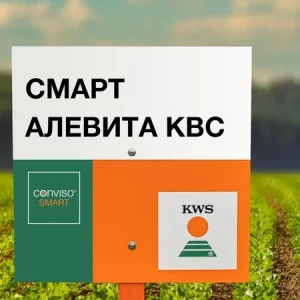 Свекла сахарная СМАРТ АЛЕВИТА КВС