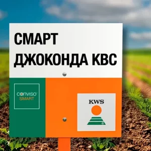 Свекла сахарная СМАРТ ДЖАКОНДА КВС