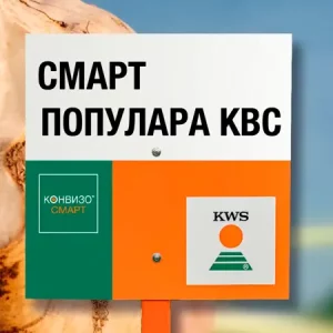 Свекла сахарная СМАРТ ПОПУЛАРА КВС