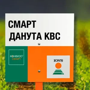 Свекла сахарная СМАРТ ДАНУТА КВС