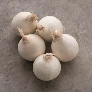 Лук репчатый СТАРДАСТ