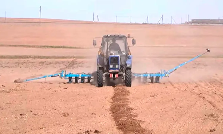 Трактор в поле