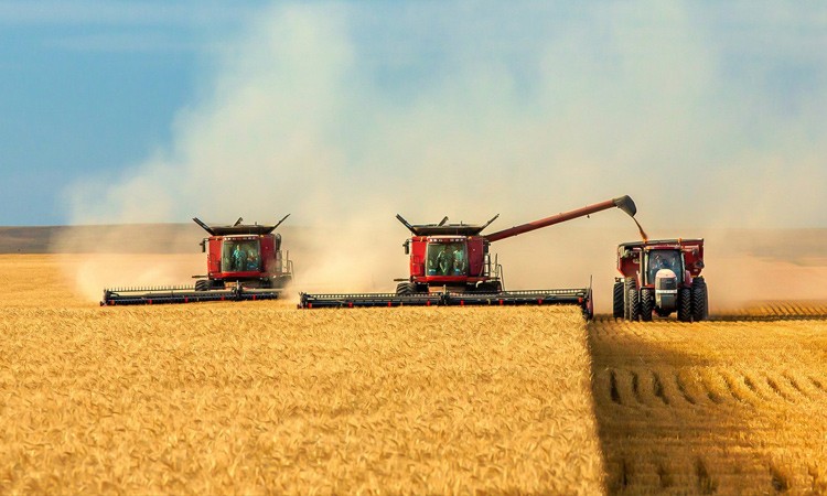 Уборка зерновых стартовала в южных районах Минской области