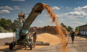 Уборочная 2026 в Беларуси