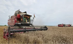 Уборочная в Беларуси - август 2025