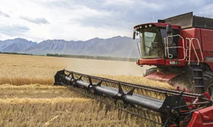 Комбайн работает в поле