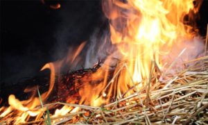 В Могилевском районе сгорело более 30 тонн соломы