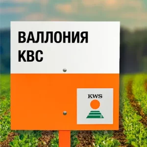 Свекла сахарная ВАЛЛОНИЯ КВС