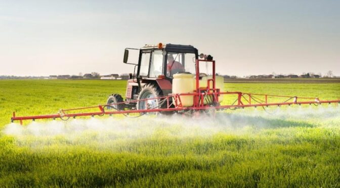 Внесение глифосатсодержащих гербицидов на полях, предназначенных под посев сельскохозяйственных культур