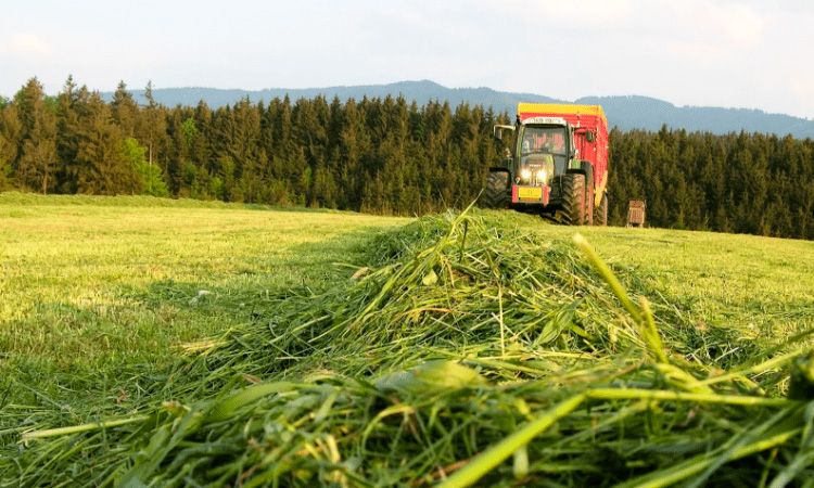 Витебская область планирует заготовить более 1,1 млн тонн травяных кормов