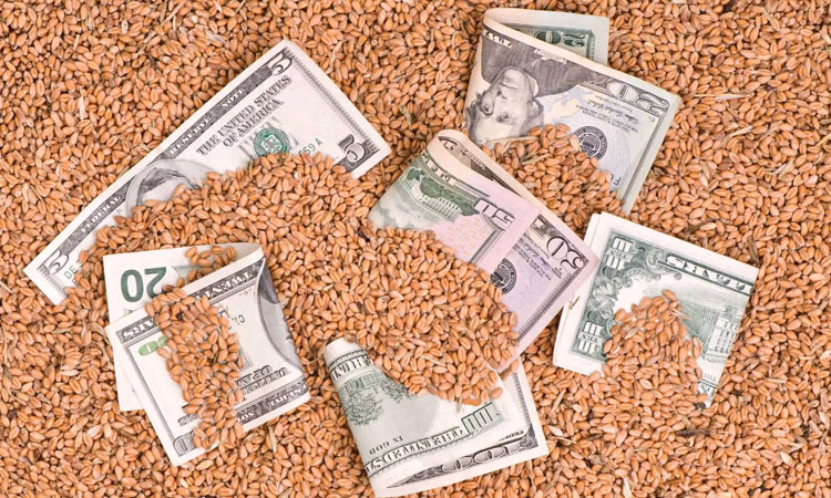 Минсельхозпрод установил закупочные цены на зерно урожая 2018 года