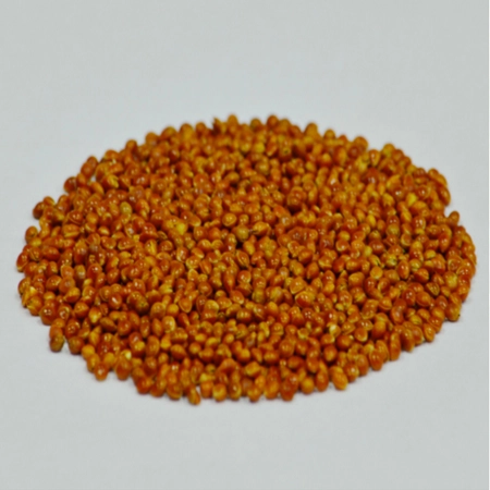 Зёрна проса сорт ИЗУМРУД®