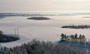 Зимнее поле