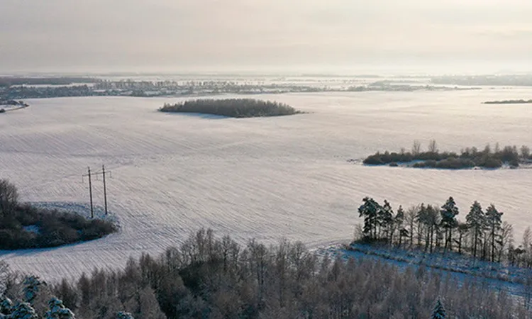 Зимнее поле